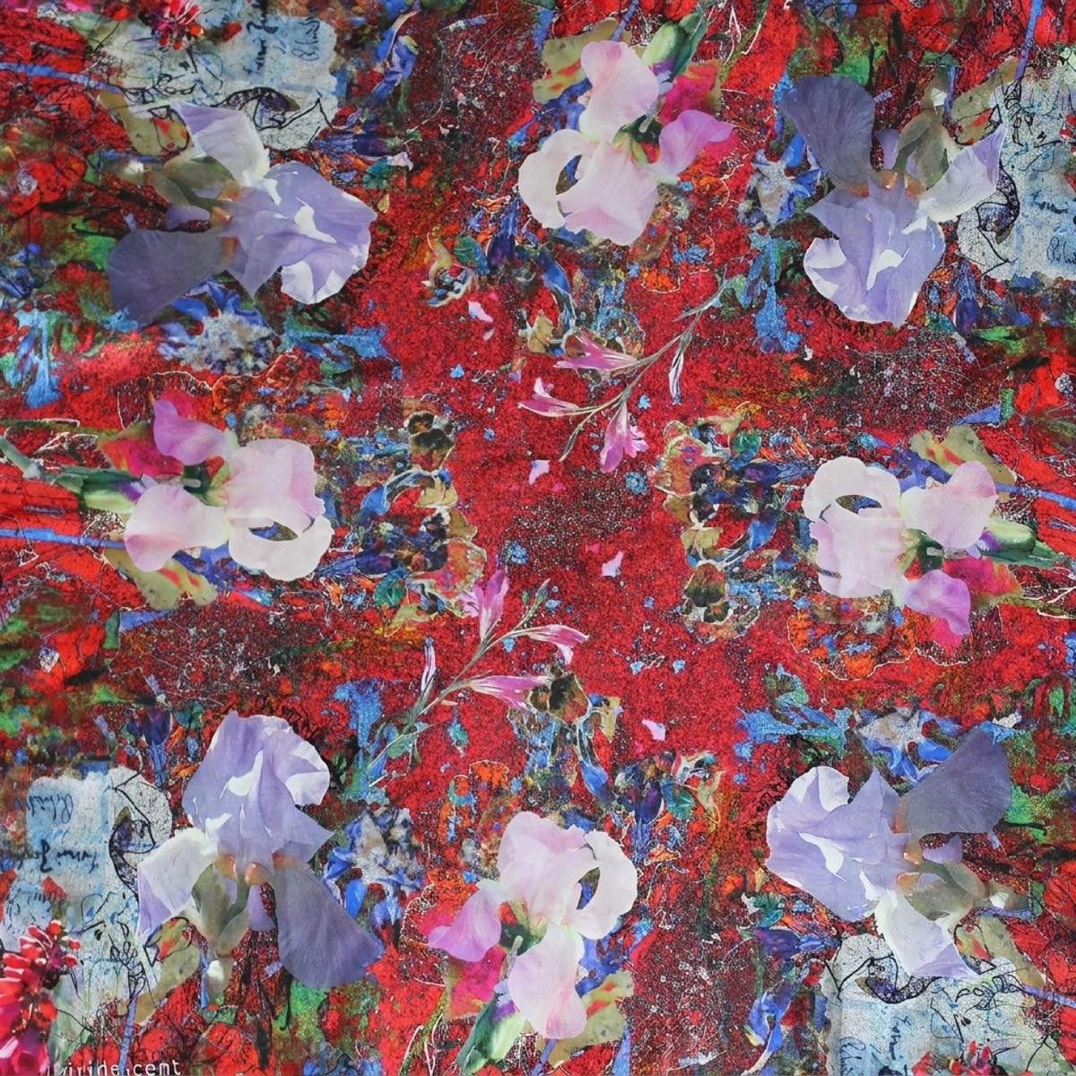 Motif Red Irises : iris clairs réservés avant le passage du rouge